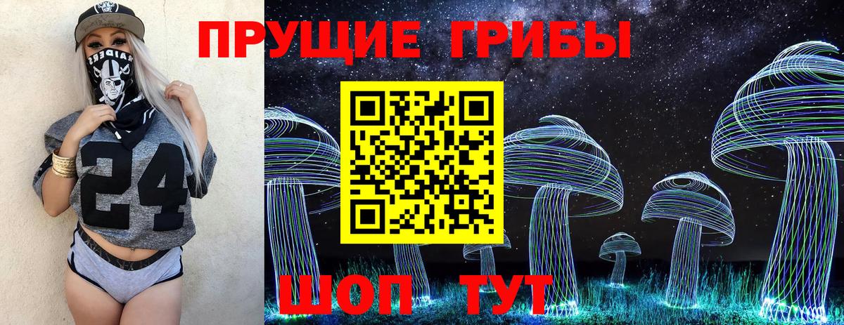 Артём  Псилоцибиновые грибы Cubensis  Вход с VPN 